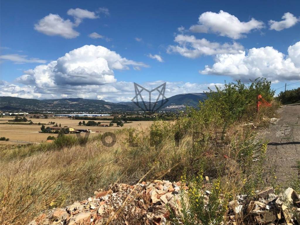 Terreno a Torgiano in Via Bastia - Foto 5