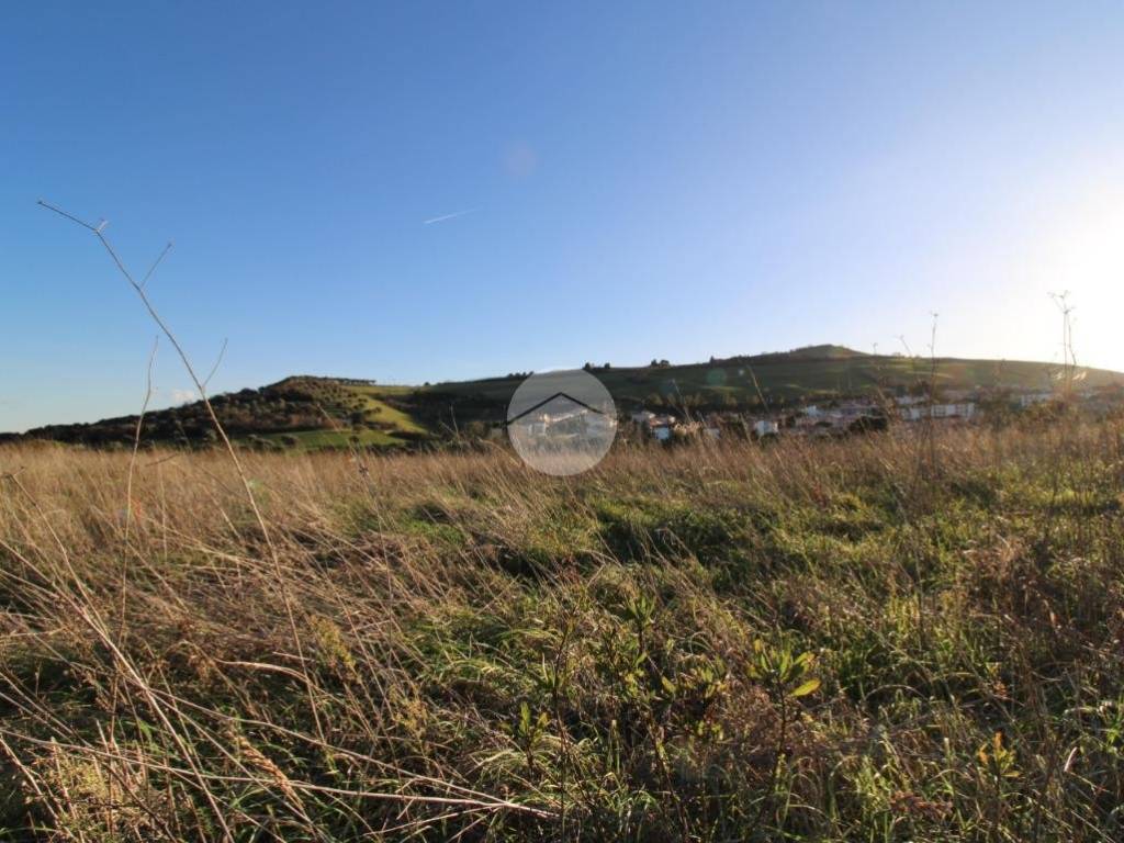 Terreno a Pineto in Strada provinciale 28, 1 - Foto 2
