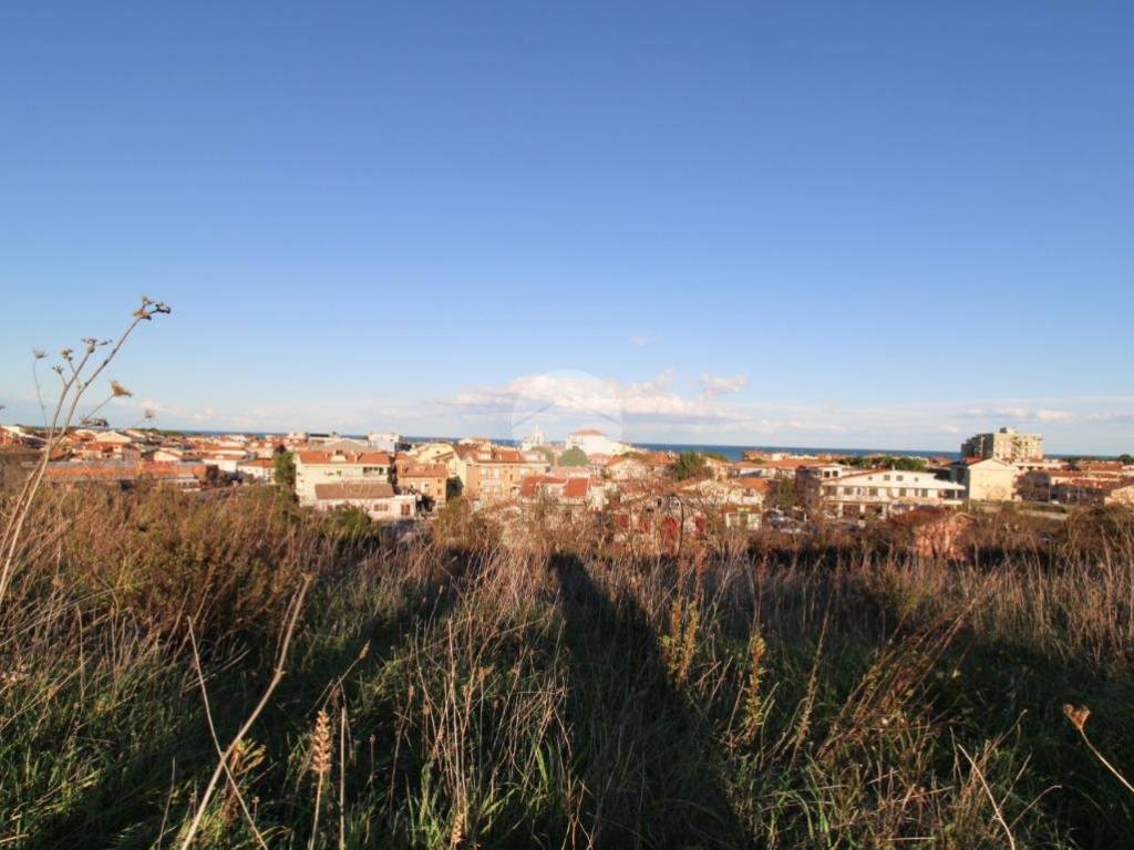 Terreno a Pineto in Strada provinciale 28, 1 - Foto 3