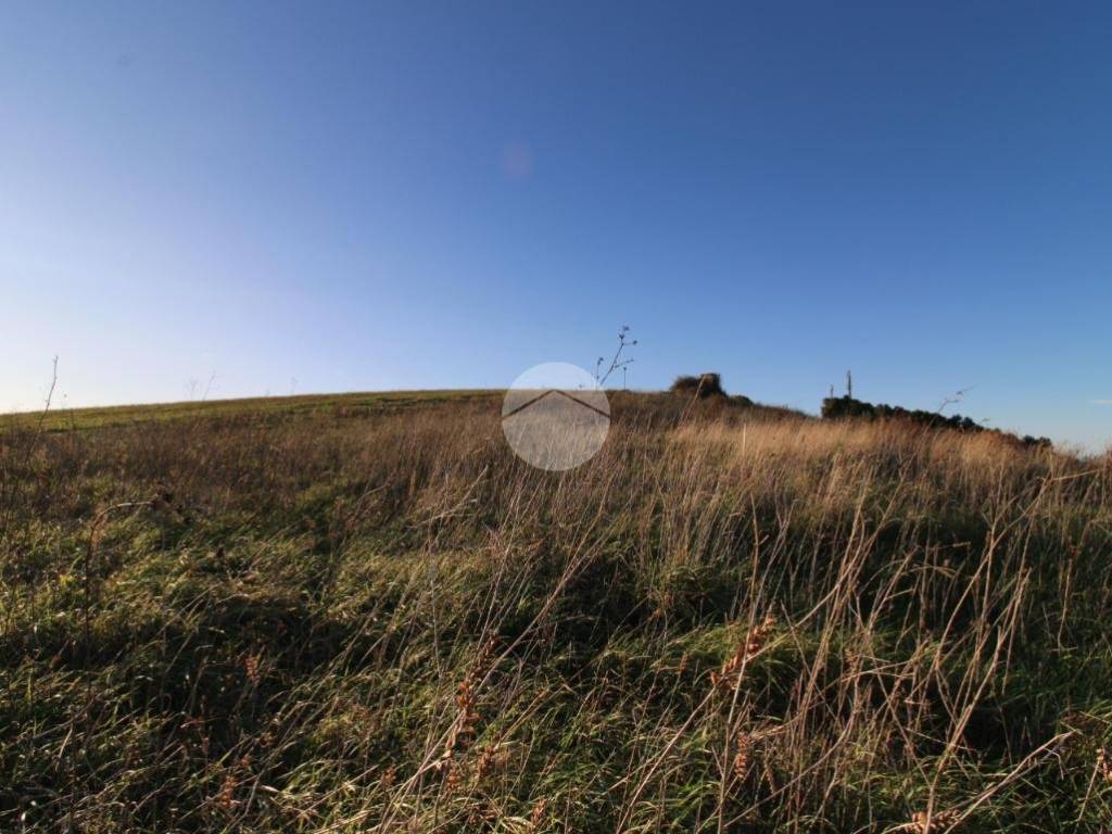 Terreno a Pineto in Strada provinciale 28, 1 - Foto 4