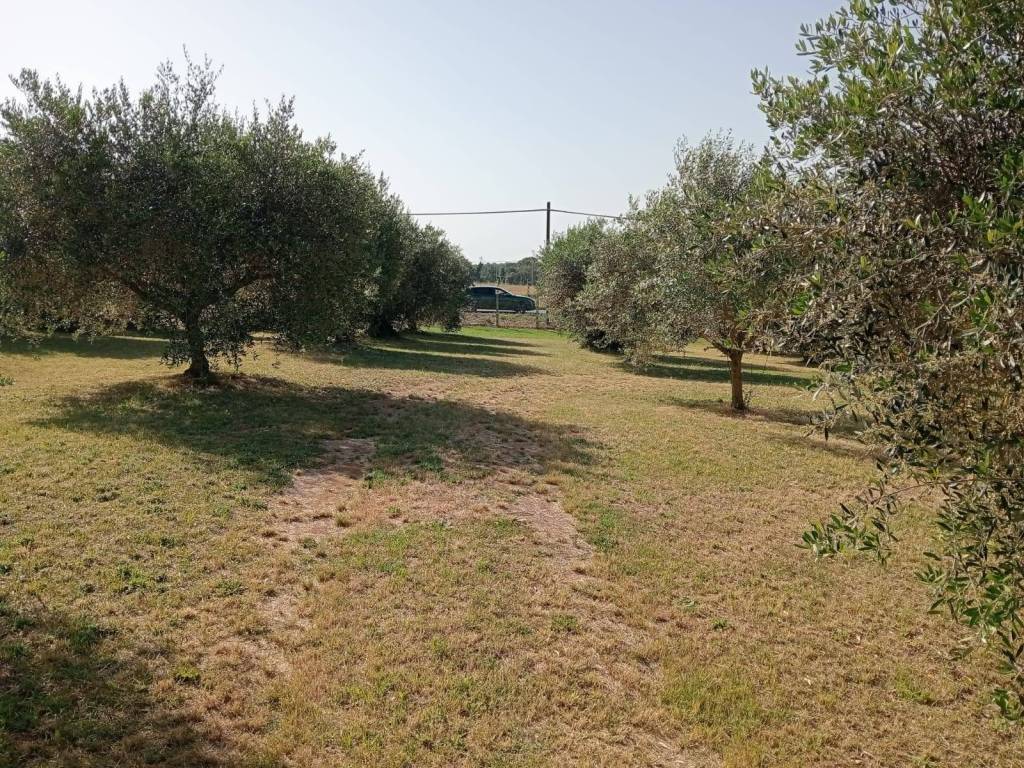 Terreno a Aprilia in Via dei Rutuli - Foto 4