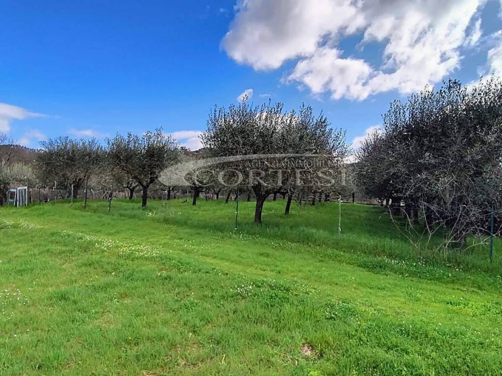 Appartamento a Sansepolcro - Foto 2