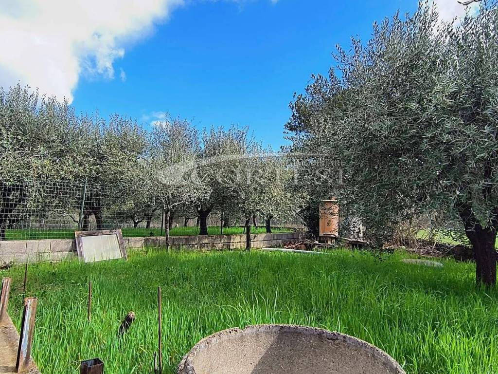 Appartamento a Sansepolcro - Foto 3