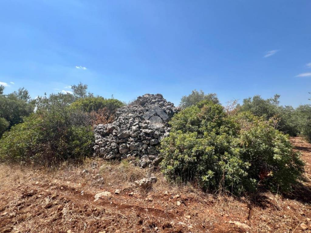 Rustico / casale a Ceglie messapica in Contrada Monteallegro - Foto 3