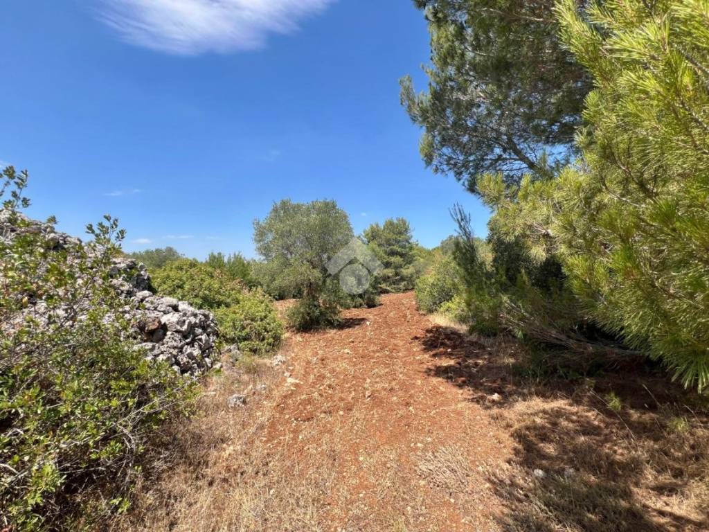 Rustico / casale a Ceglie messapica in Contrada Monteallegro - Foto 4