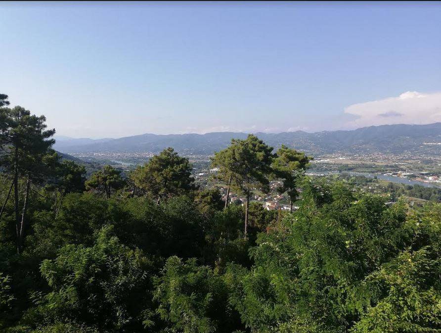 Appartamento a Ameglia - Foto 2