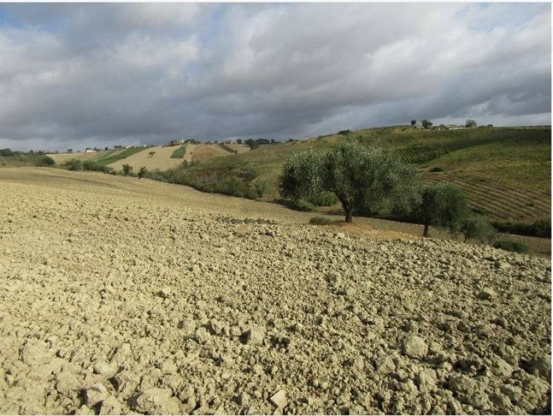 Rustico / casale a San marcello in Via Serra, 22 - Foto 2