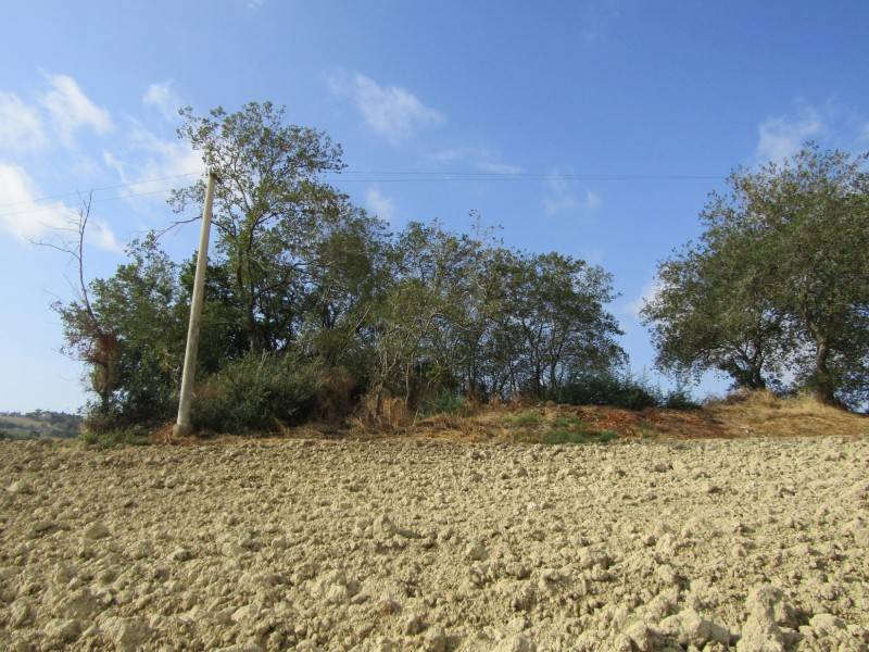 Rustico / casale a San marcello in Via Serra, 22 - Foto 5