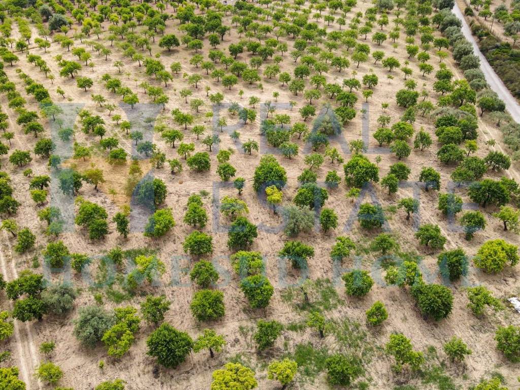 Terreno a Noto in Via Tommaso Fazello, 228 - Foto 2