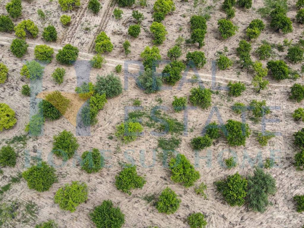 Terreno a Noto in Via Tommaso Fazello, 228 - Foto 3