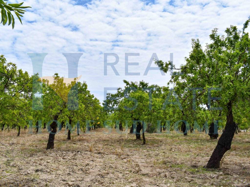 Terreno a Noto in Via Tommaso Fazello, 228 - Foto 4