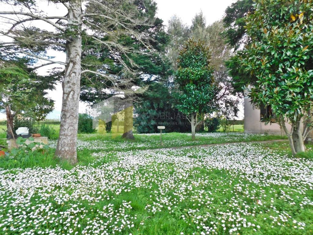 Villa a San giuliano terme in Via Bruno Buozzi - Foto 2