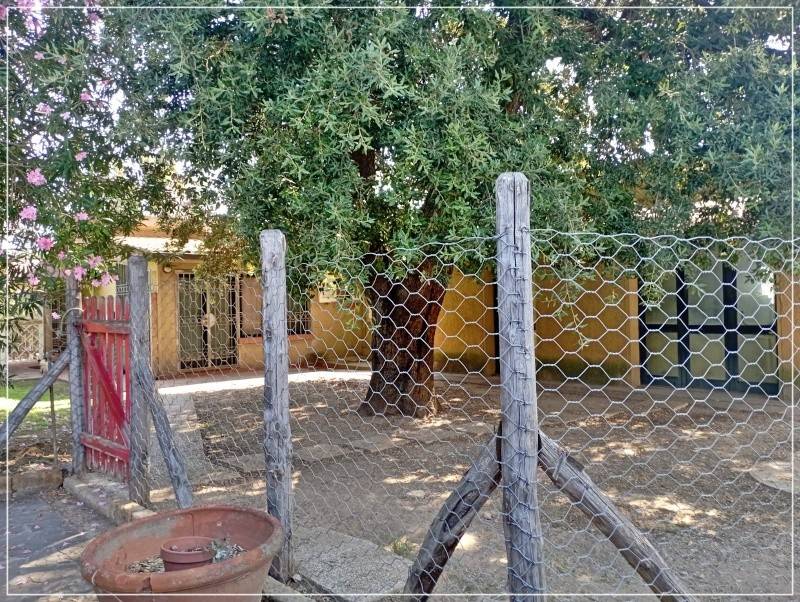 Casa indipendente a Castagneto carducci in Località Campo al Capriolo - Foto 4