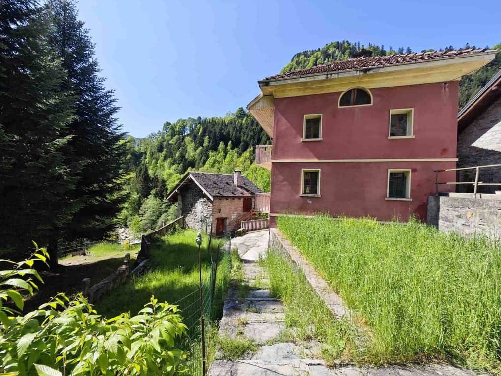 immagine di copertina