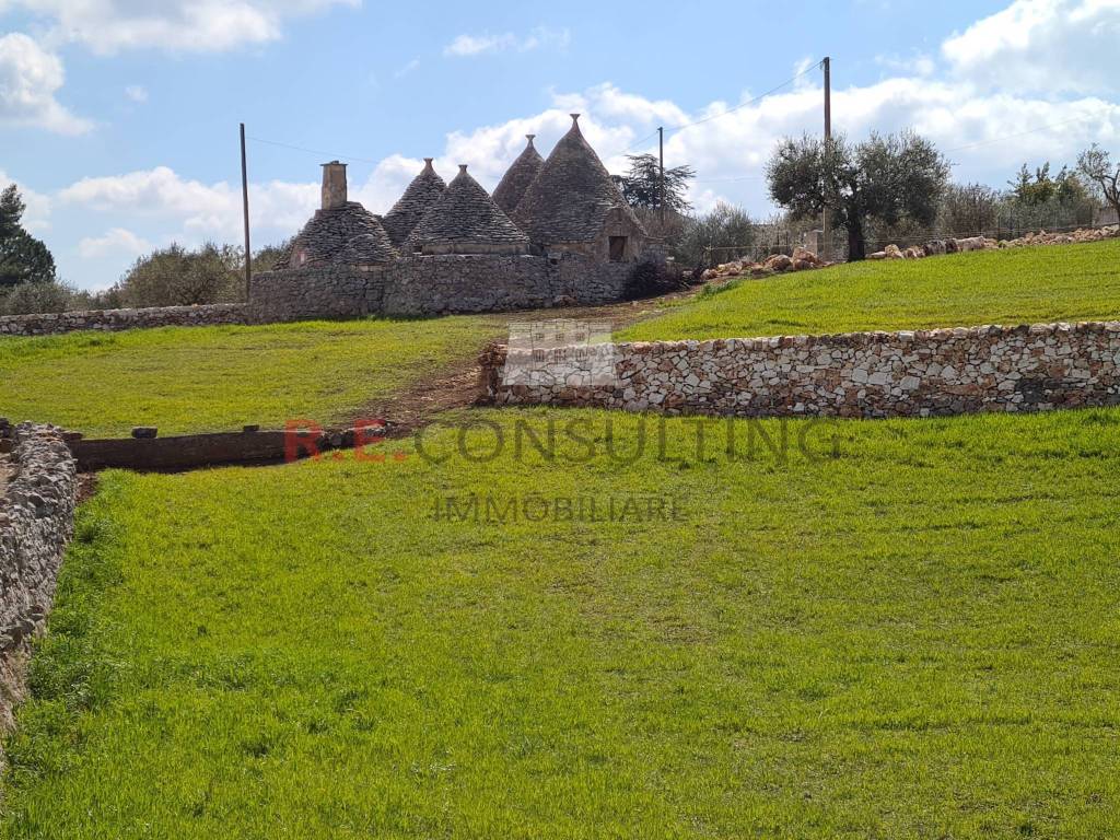 Rustico / casale a Martina franca in Strada Paretone Zona I, 363 - Foto 3