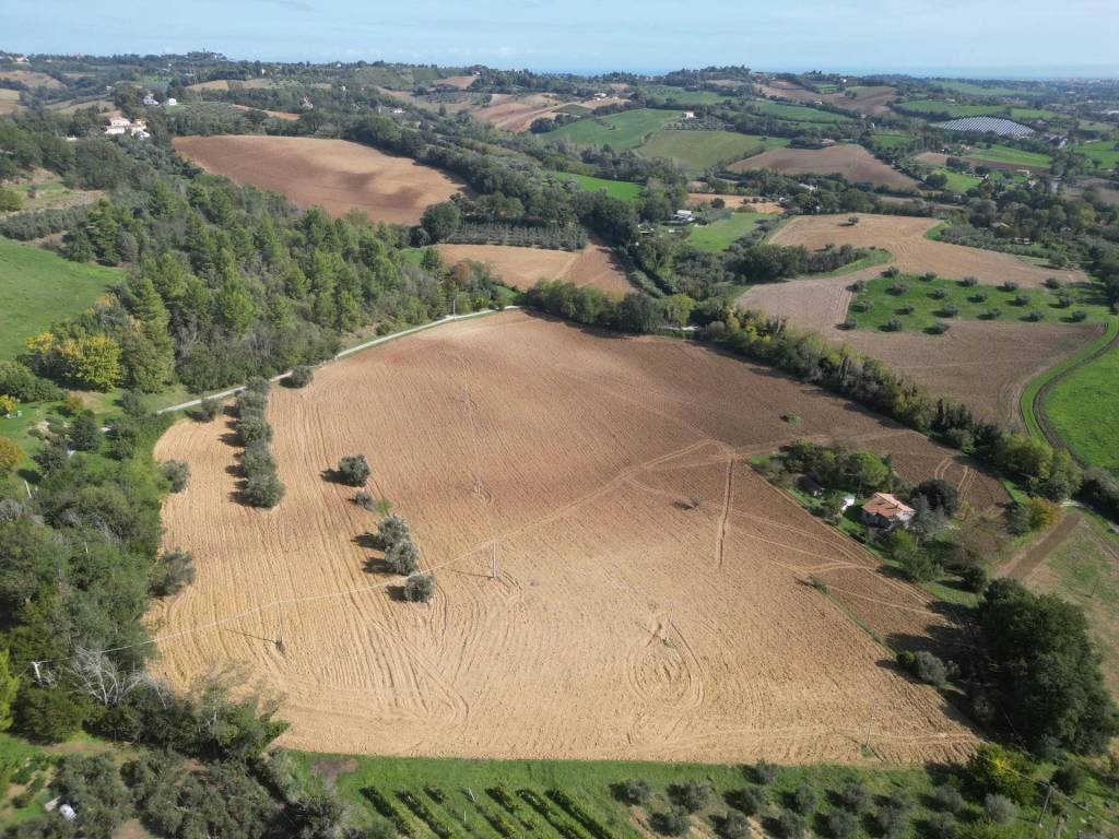 Terreno a Fano - Foto 3