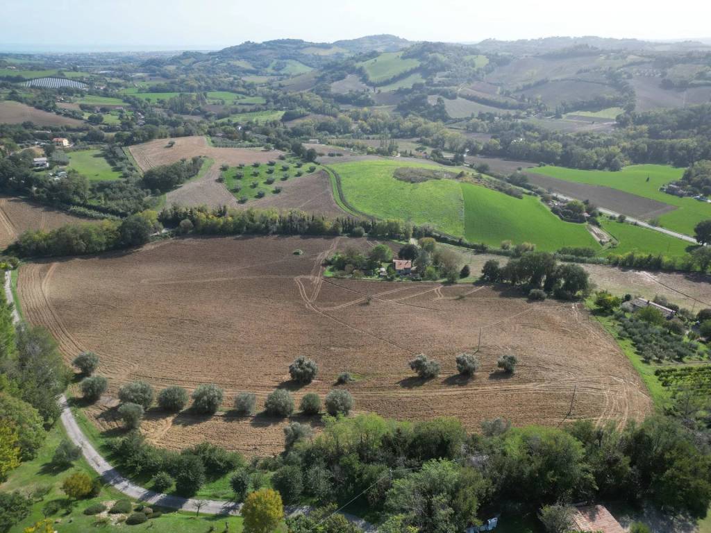Terreno a Fano - Foto 4