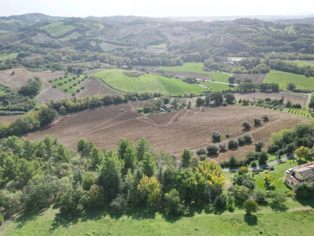 Terreno a Fano - Foto 5