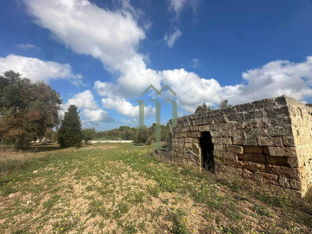 Rustico / casale a San vito dei normanni in Contrada Pezza d'Acqua Fresca - Foto 4