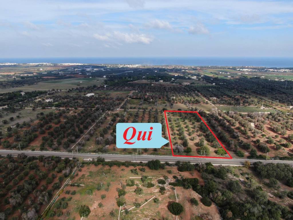 Terreno a Carovigno in Contrada Acciano - Foto 3