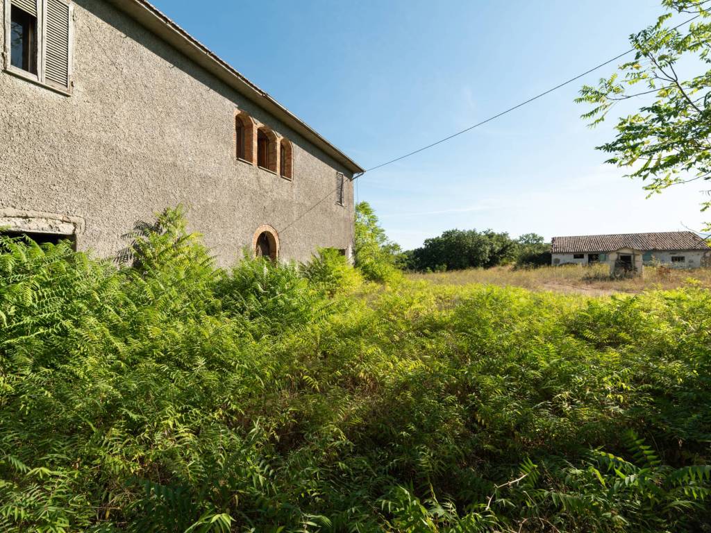Rustico / casale a Cinigiano - Foto 3