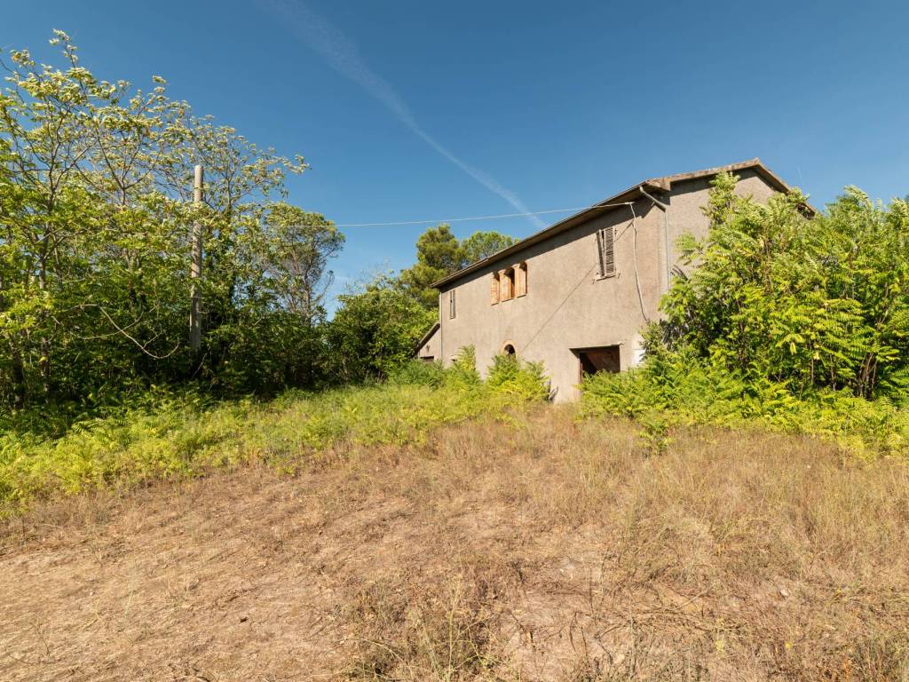 Rustico / casale a Cinigiano - Foto 4