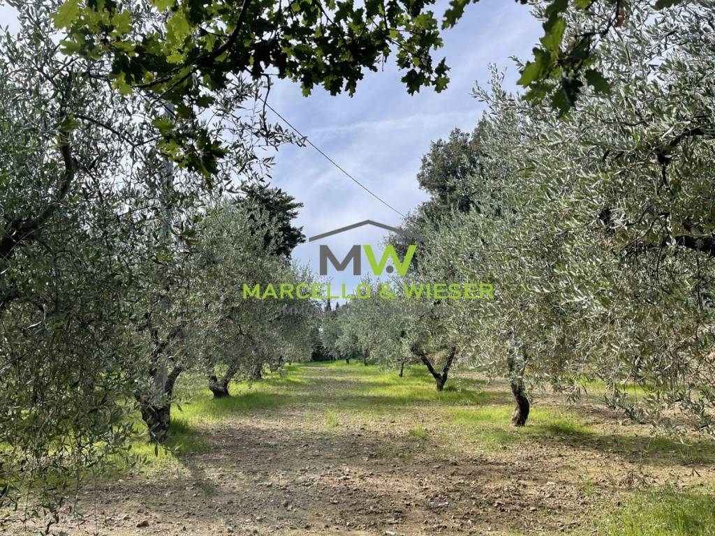 Villa a Massa marittima in Strada Regionale Sarzanese Valdera - Foto 4