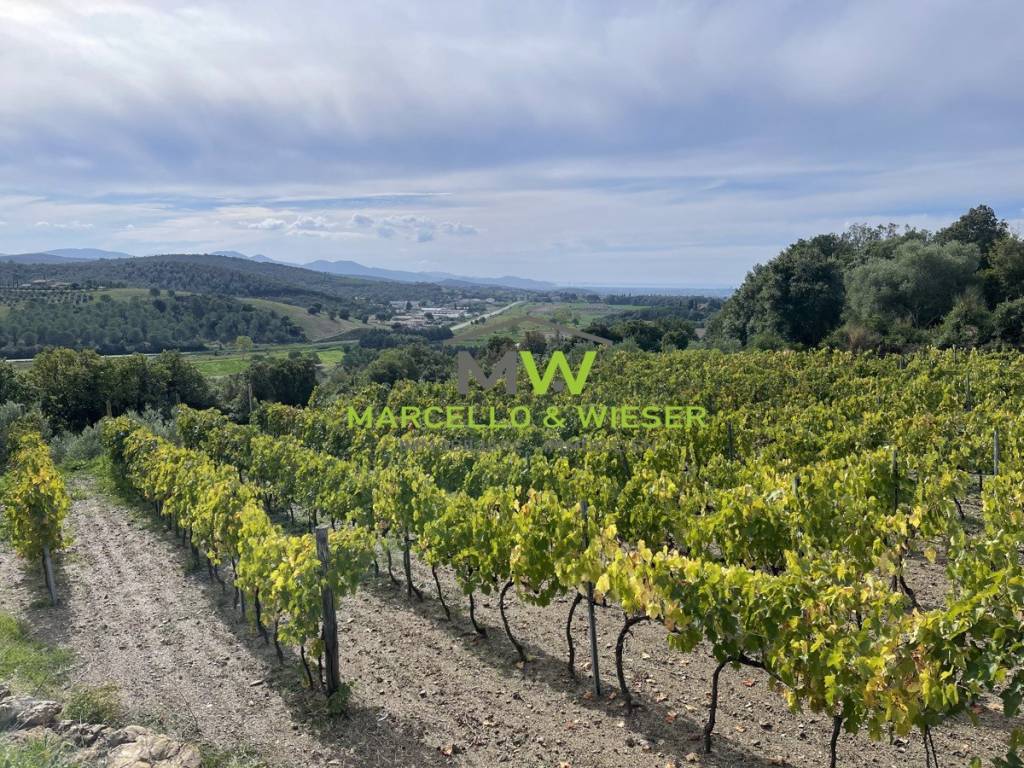 Villa a Massa marittima in Strada Regionale Sarzanese Valdera - Foto 5