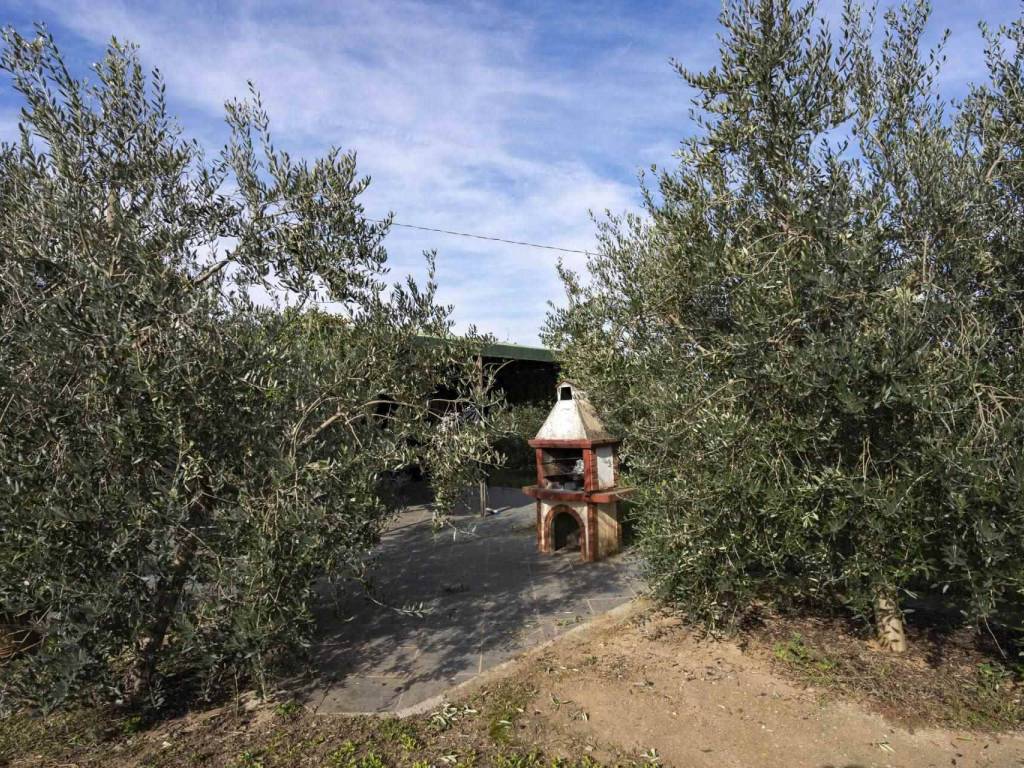 Immobile a Campagnatico - Foto 4