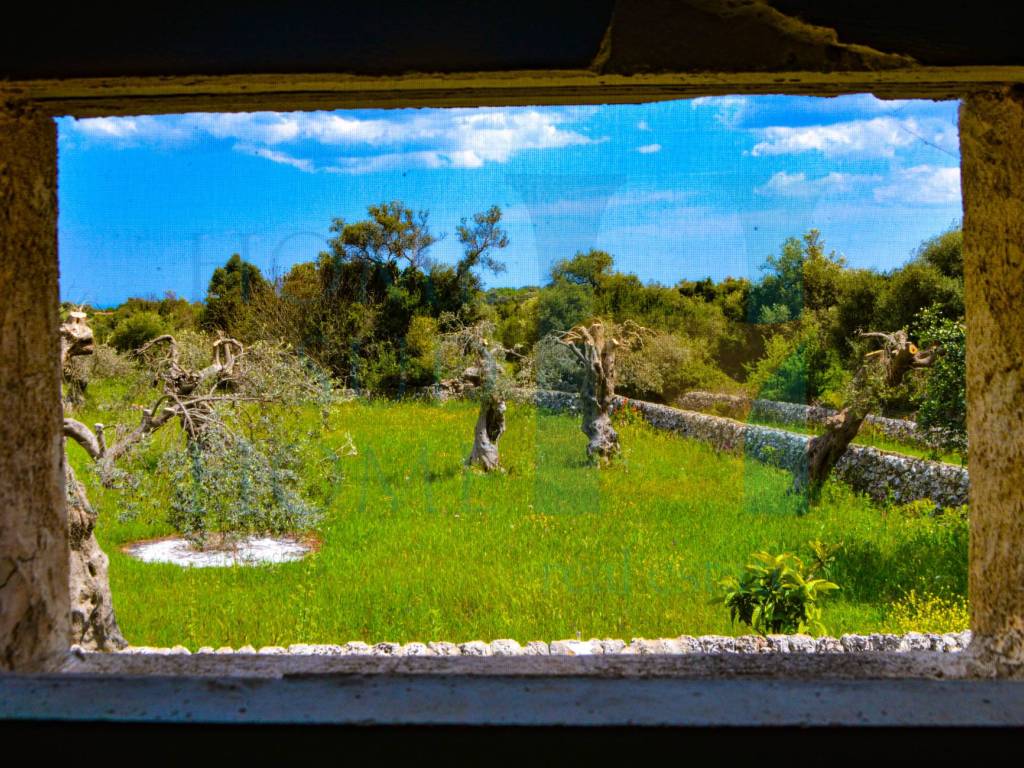 Rustico / casale a Noto in Via Tommaso Fazello - Foto 3
