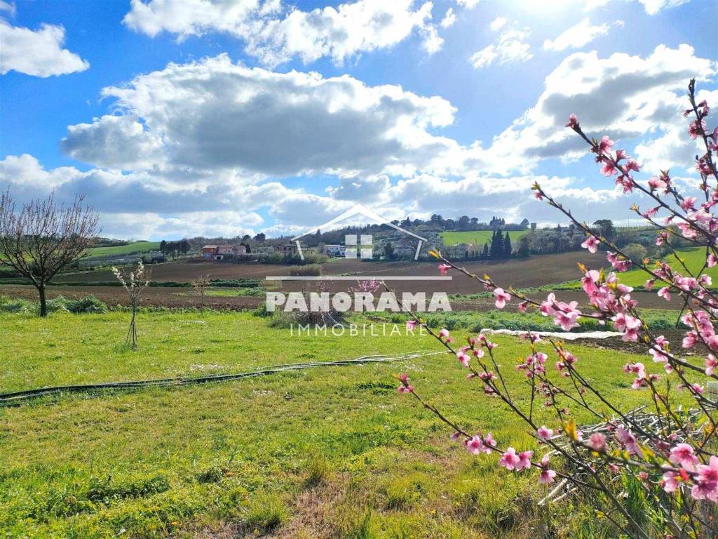 Terreno a Coriano - Foto 5