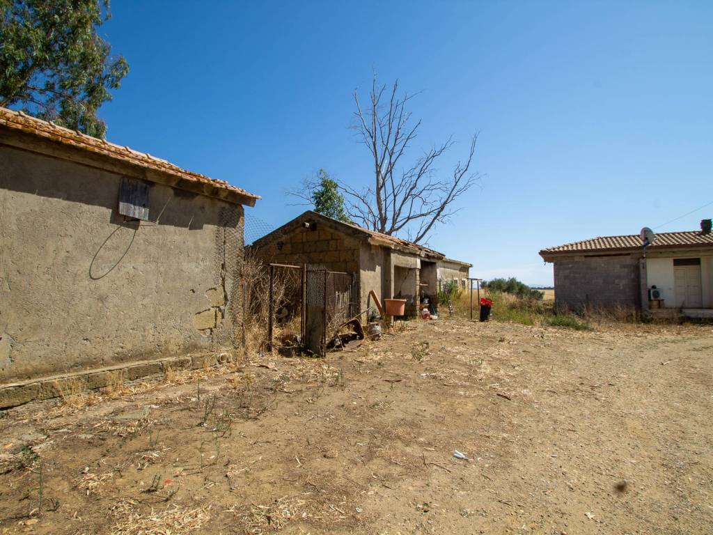 Rustico / casale a Montalto di castro in Strada Provinciale Pescia Romana - Foto 3