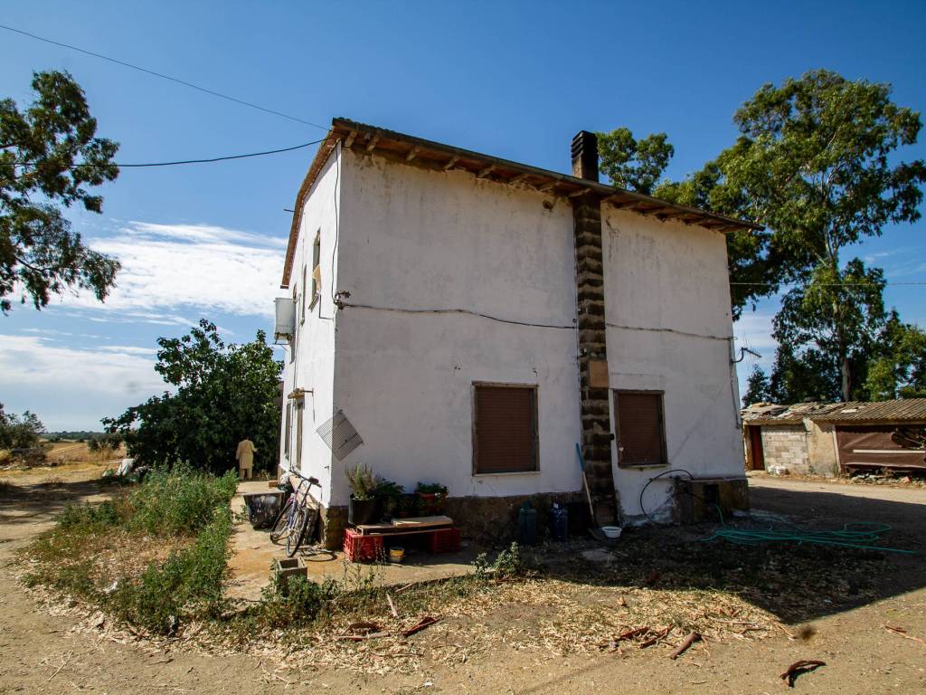 Rustico / casale a Montalto di castro in Strada Provinciale Pescia Romana - Foto 4