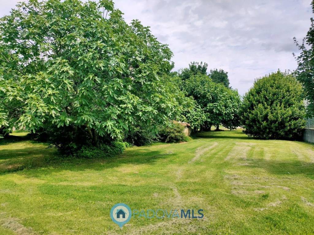 Rustico / casale a Rovolon in Via San Francesco - Foto 2