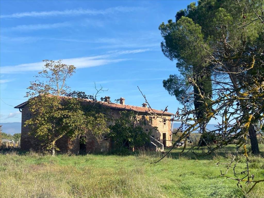 Rustico / casale a Castiglione del lago in Via Paganico, 68 - Foto 5