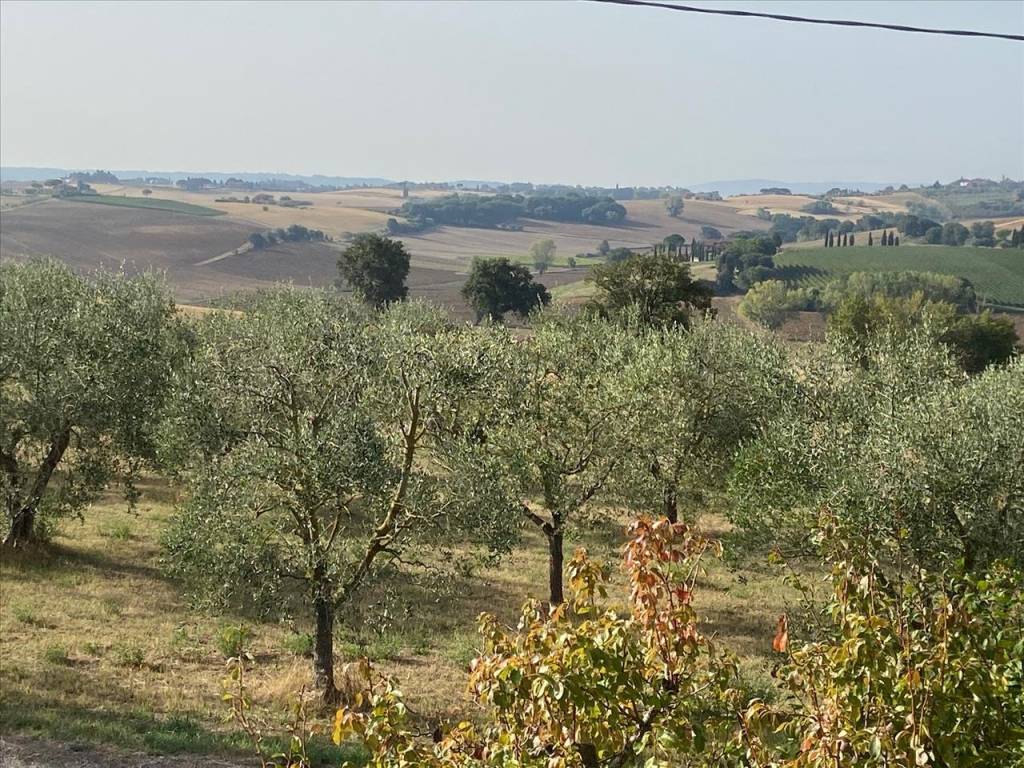 Casa indipendente a Castiglione del lago in loc. Badia - Foto 4