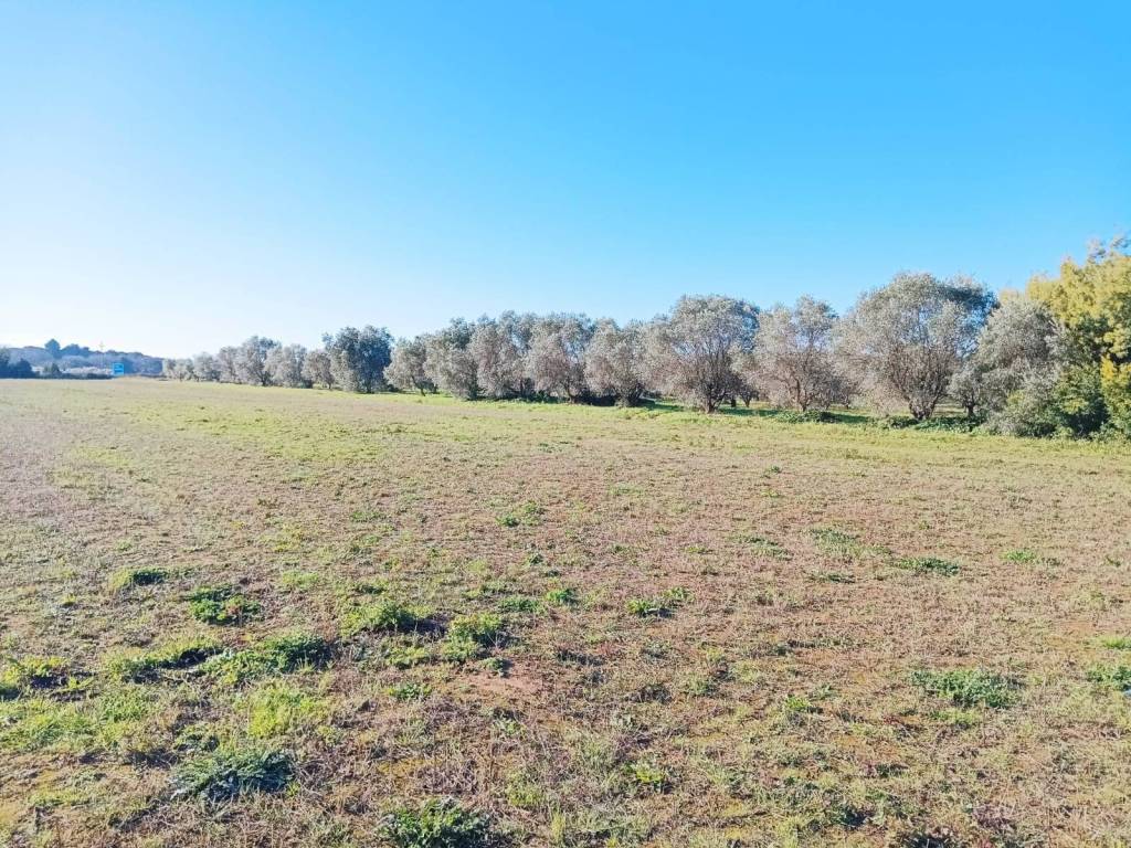 Terreno a Rosignano marittimo in malandrone - Foto 3