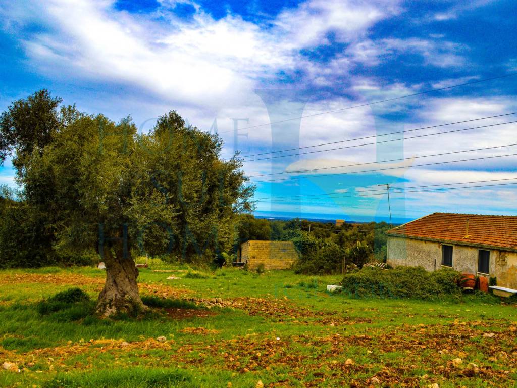 Rustico / casale a Noto in Via Tommaso Fazello - Foto 3
