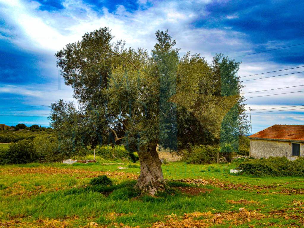 Rustico / casale a Noto in Via Tommaso Fazello - Foto 5