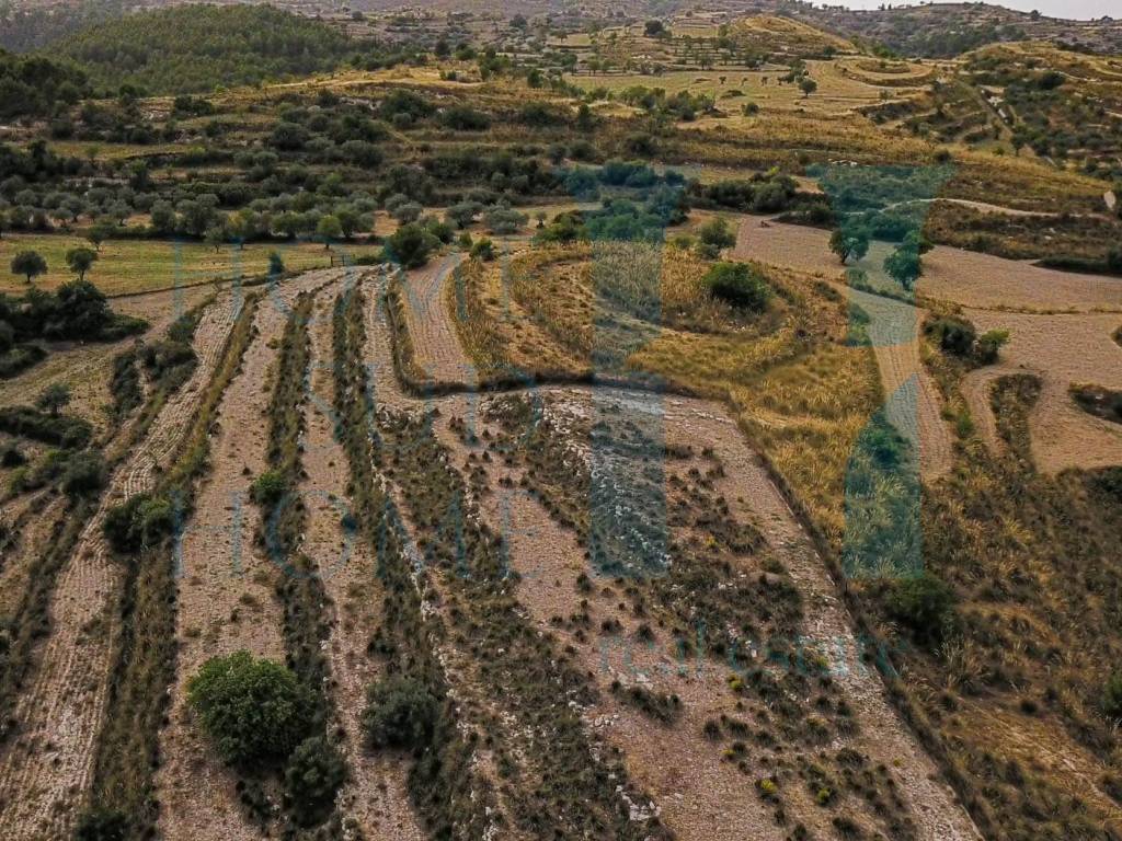 Terreno a Noto - Foto 3
