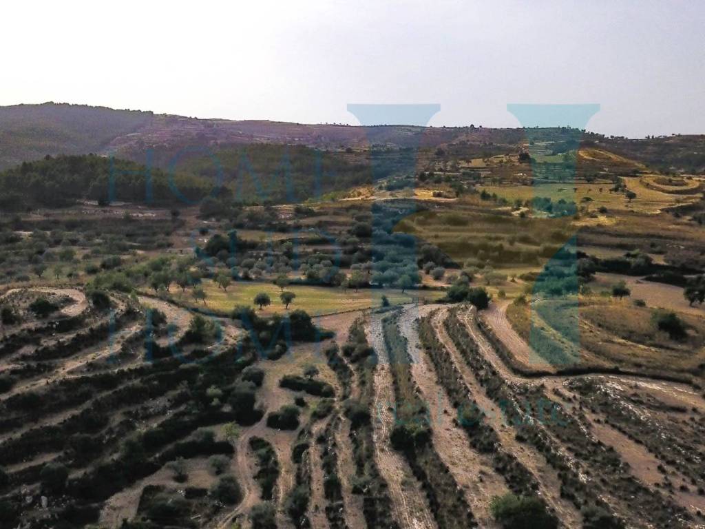 Terreno a Noto - Foto 5