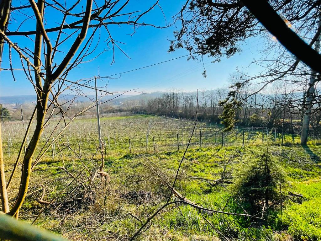 Rustico / casale a Castelnuovo belbo in Via Ponti - Foto 5
