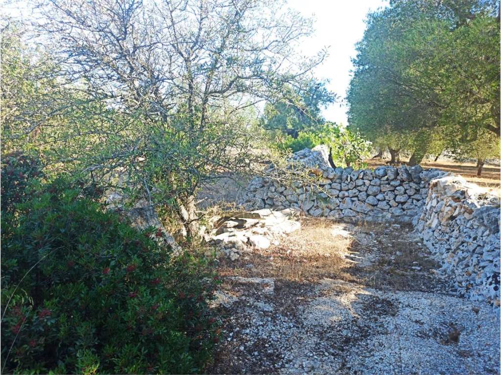 Terreno a Carovigno - Foto 2