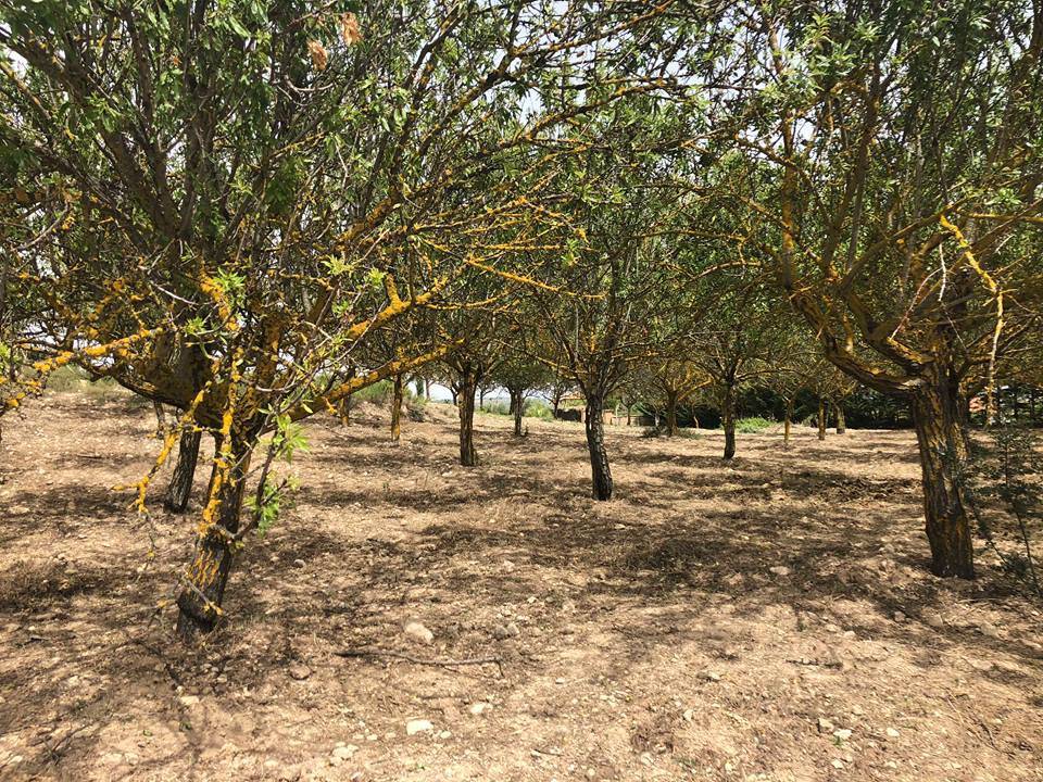 Terreno a Canicattì in Via Siepe - Foto 4
