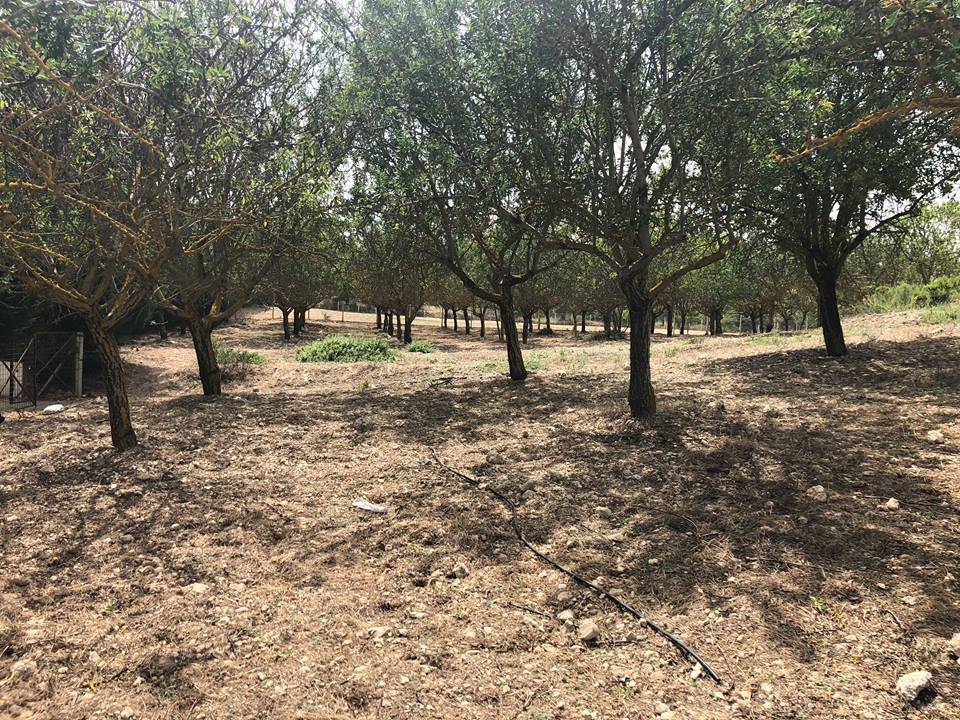 Terreno a Canicattì in Via Siepe - Foto 5