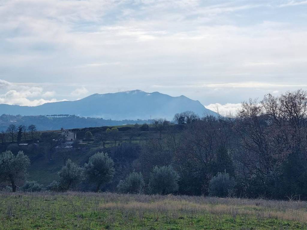 Rustico / casale a Tarano in madonna della noce - Foto 2
