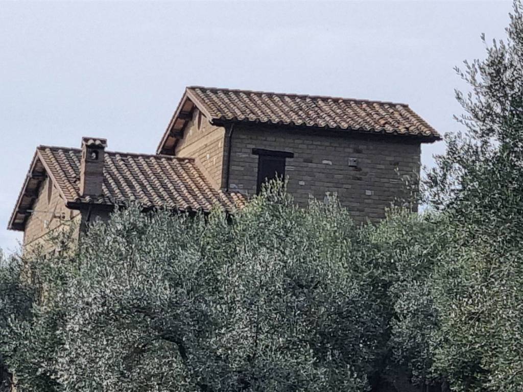 Rustico / casale a Tarano in madonna della noce - Foto 3