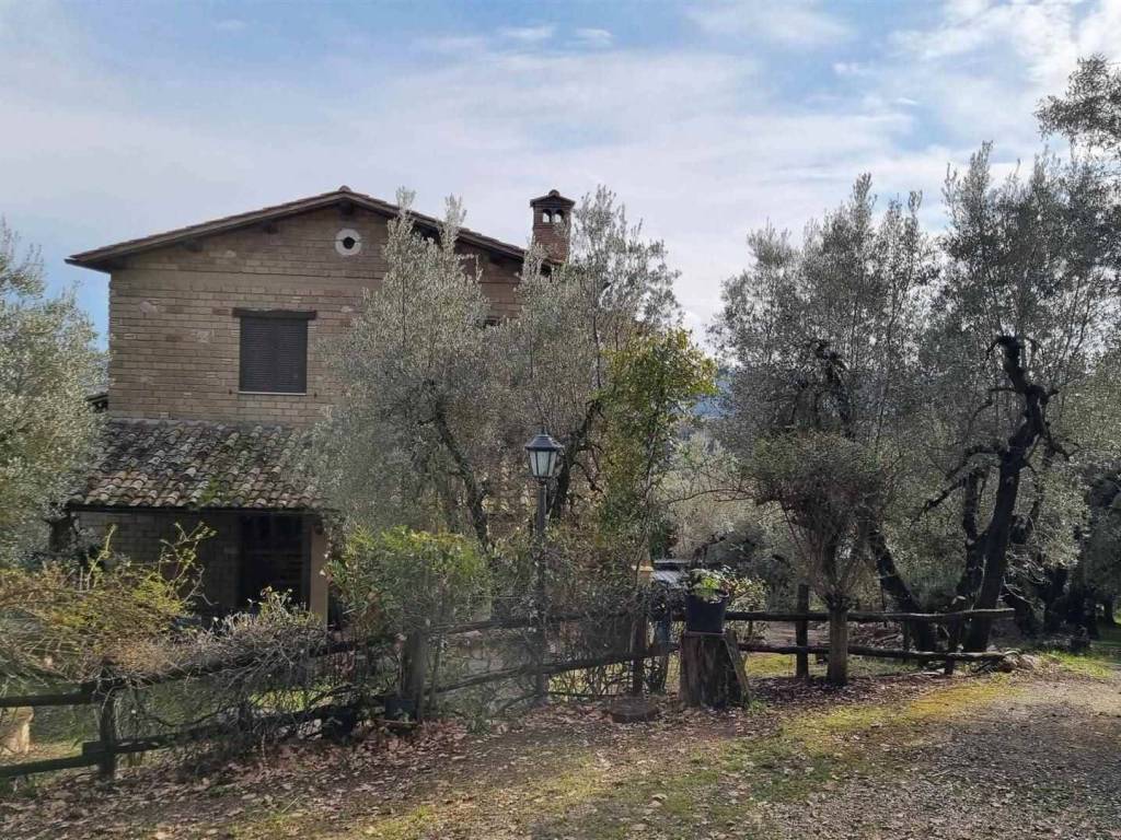 Rustico / casale a Tarano in madonna della noce - Foto 4