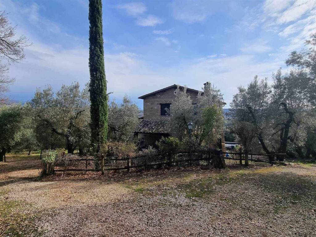 Rustico / casale a Tarano in madonna della noce - Foto 5