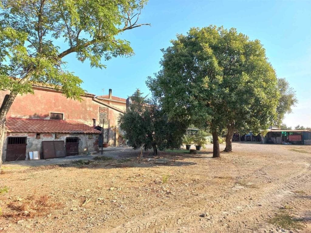 Rustico / casale a Orbetello - Foto 5